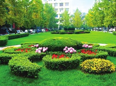 2020年甘肃城市建成区人均公共绿地达18平方