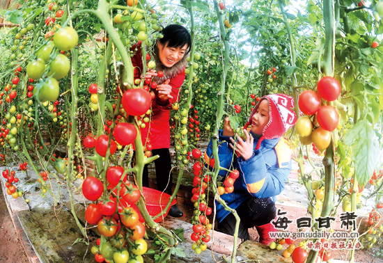 敦煌:现代农业示范园吸引市民游览--中国广播网