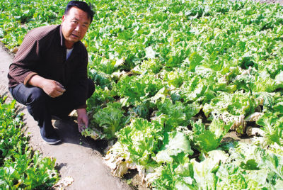 冰雹突袭兰州七里河 几十万斤蔬菜被摧毁--中国