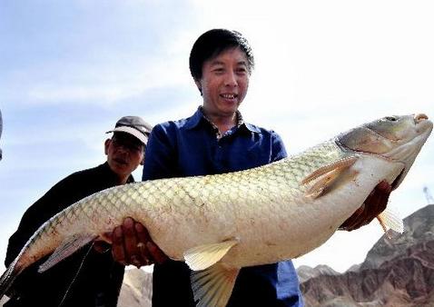 兰州垂钓爱好者钓到30斤重大草鱼--中国广播网