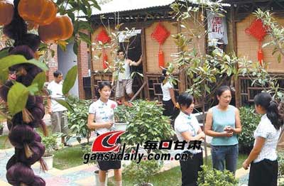甘肃舟曲农家乐吸引大批游客 --中国广播网甘