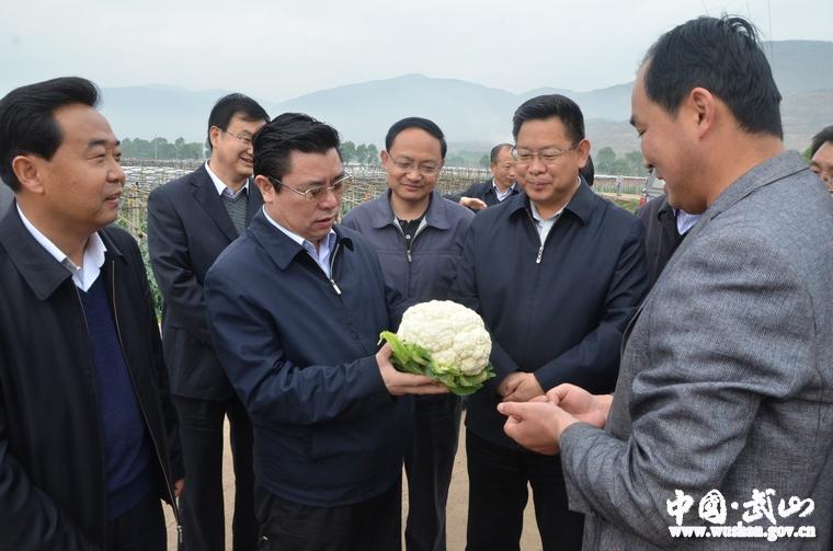 副省长冉万祥在武山调研设施蔬菜产业发展