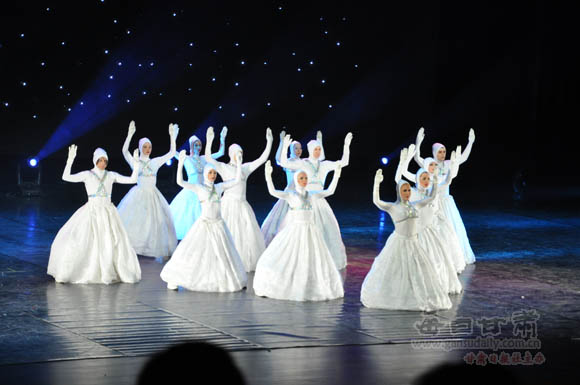 极限舞蹈秀《动感天鹅》在甘肃上演--中国广播